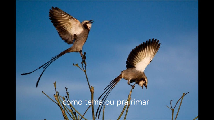 Obras de Poeta